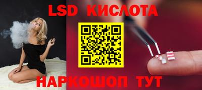 индика Новодвинск