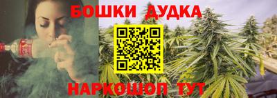 индика Новодвинск