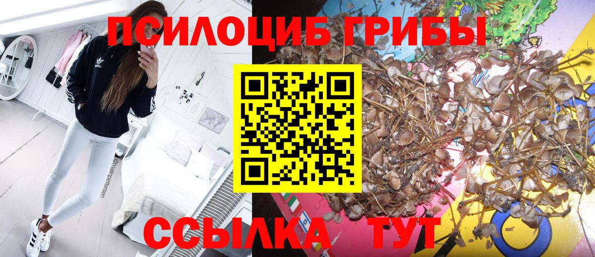 Топки  Псилоцибиновые грибы Magic Shrooms  Вход с VPN 