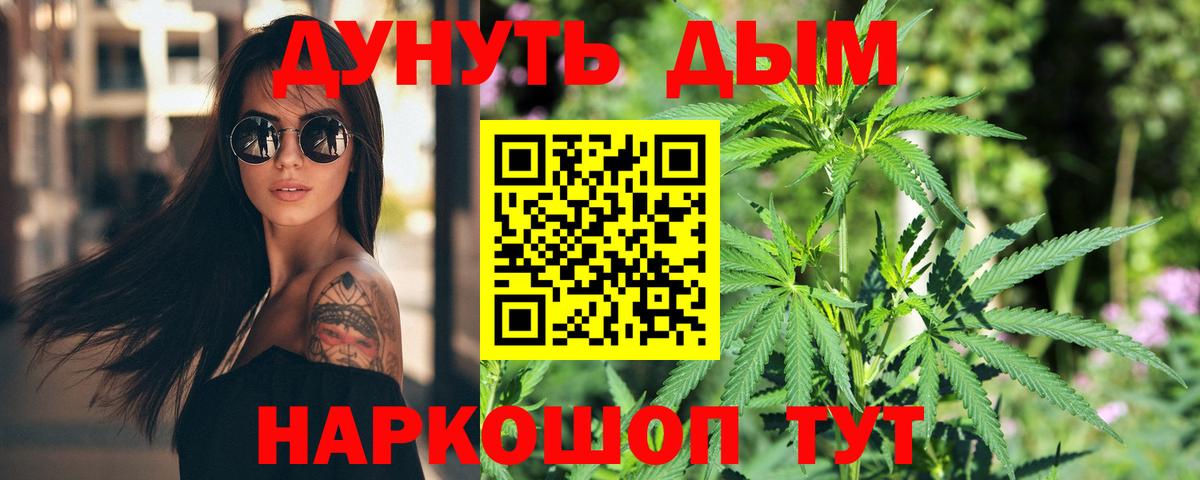 Топки  Каннабис планчик  Вход с VPN  Марихуана Bruce Banner 